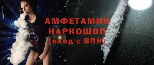 молекула духа Богданович