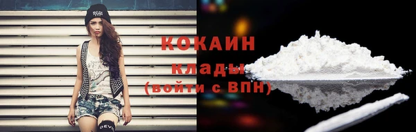 молекула духа Богданович