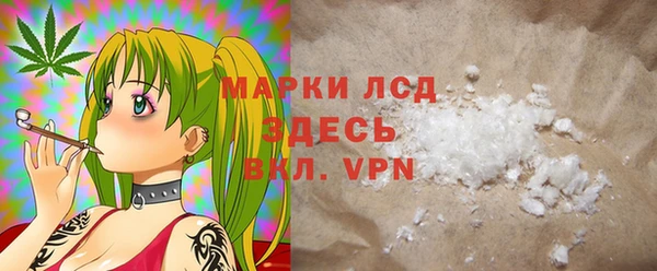 PSILOCYBIN Белокуриха