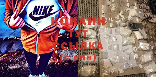 PSILOCYBIN Белокуриха